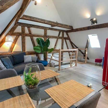 Beauty & The Beast - Old Town Cosy Apartments Colmar Exteriér fotografie