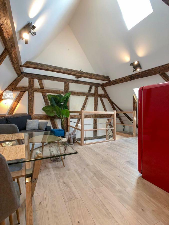 Beauty & The Beast - Old Town Cosy Apartments Colmar Exteriér fotografie