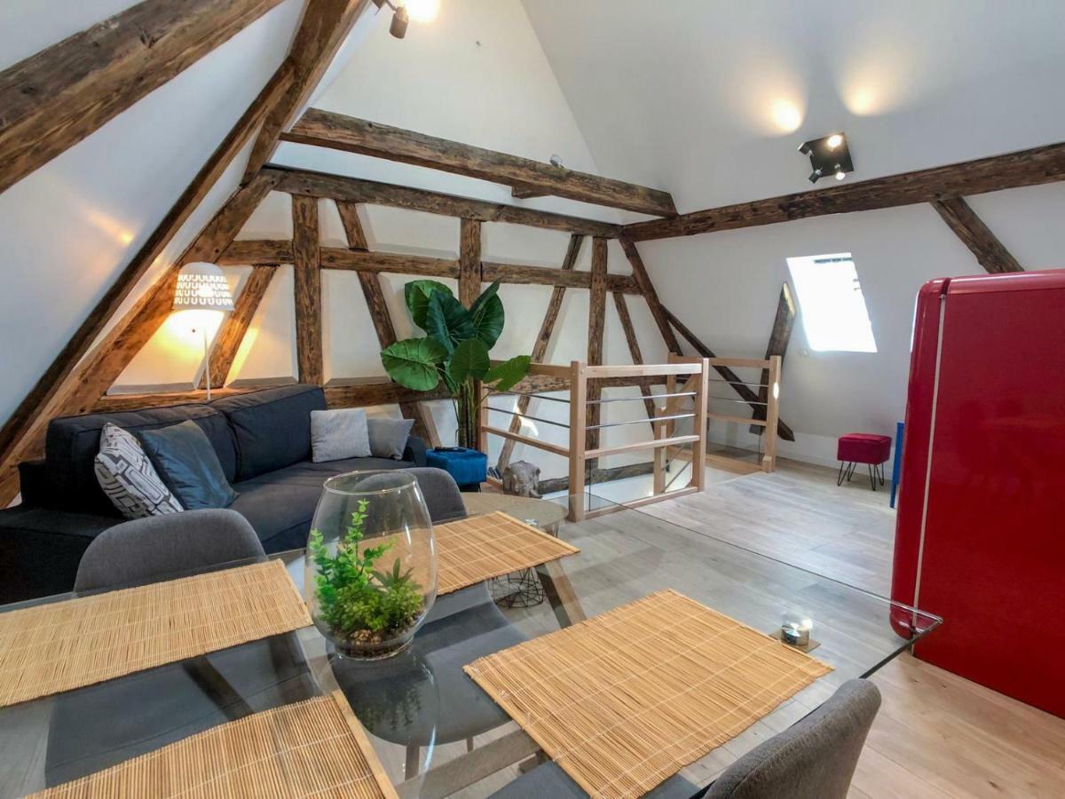 Beauty & The Beast - Old Town Cosy Apartments Colmar Exteriér fotografie
