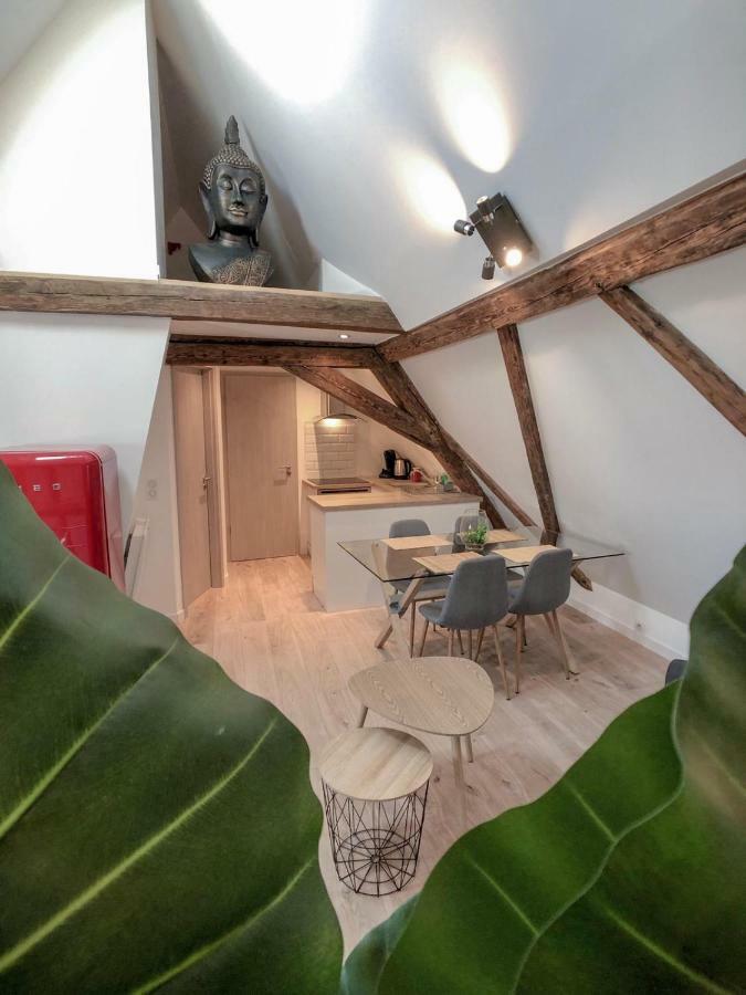 Beauty & The Beast - Old Town Cosy Apartments Colmar Exteriér fotografie