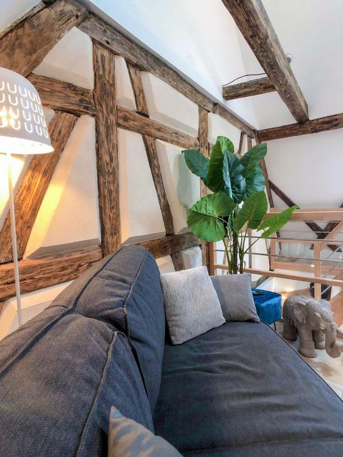 Beauty & The Beast - Old Town Cosy Apartments Colmar Exteriér fotografie