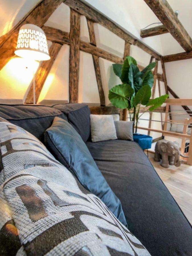 Beauty & The Beast - Old Town Cosy Apartments Colmar Exteriér fotografie